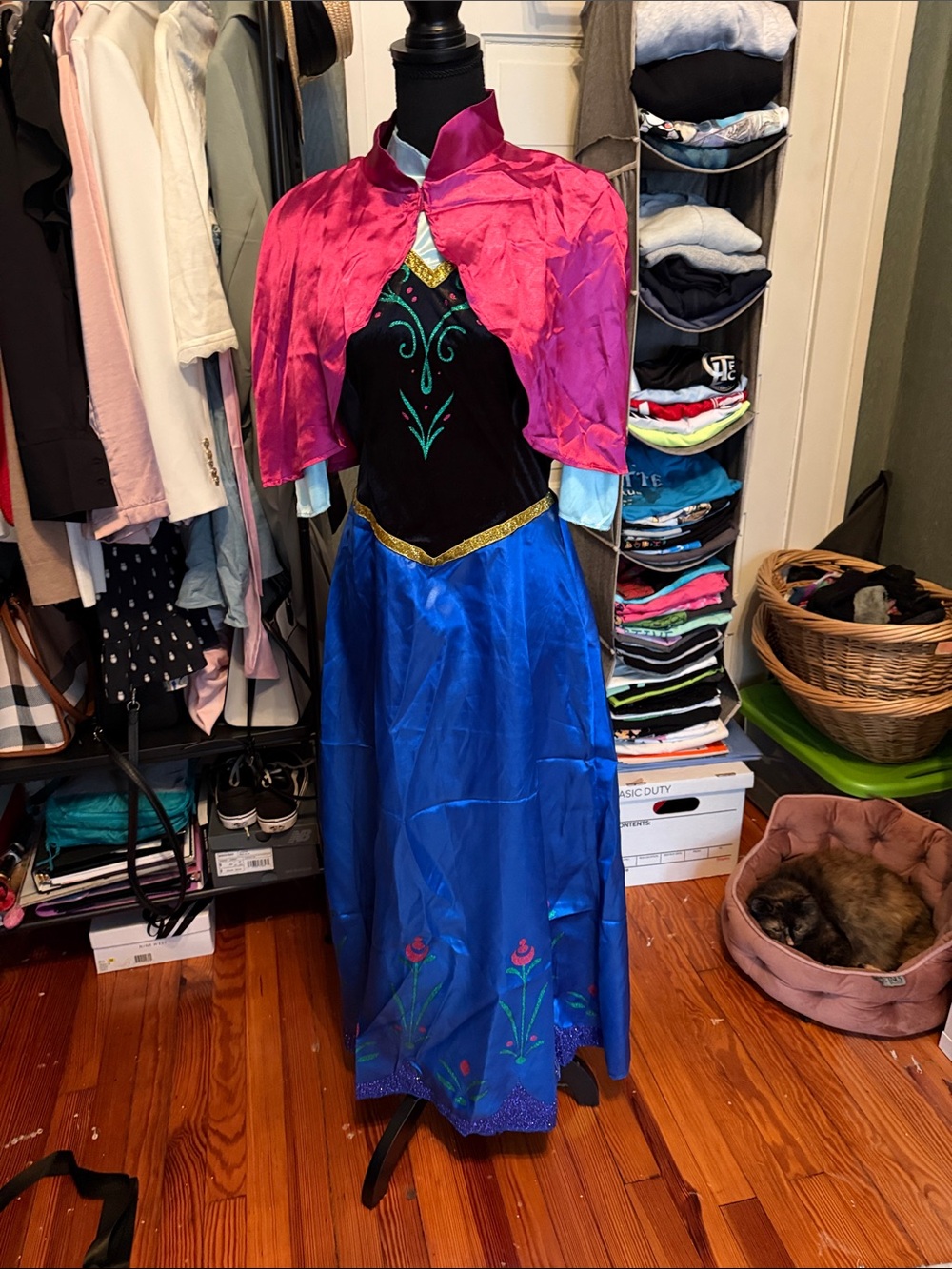 Disney Frozen Anna Costume Adult Size L